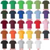 t shirt color chart - Record Of Ragnarok Store